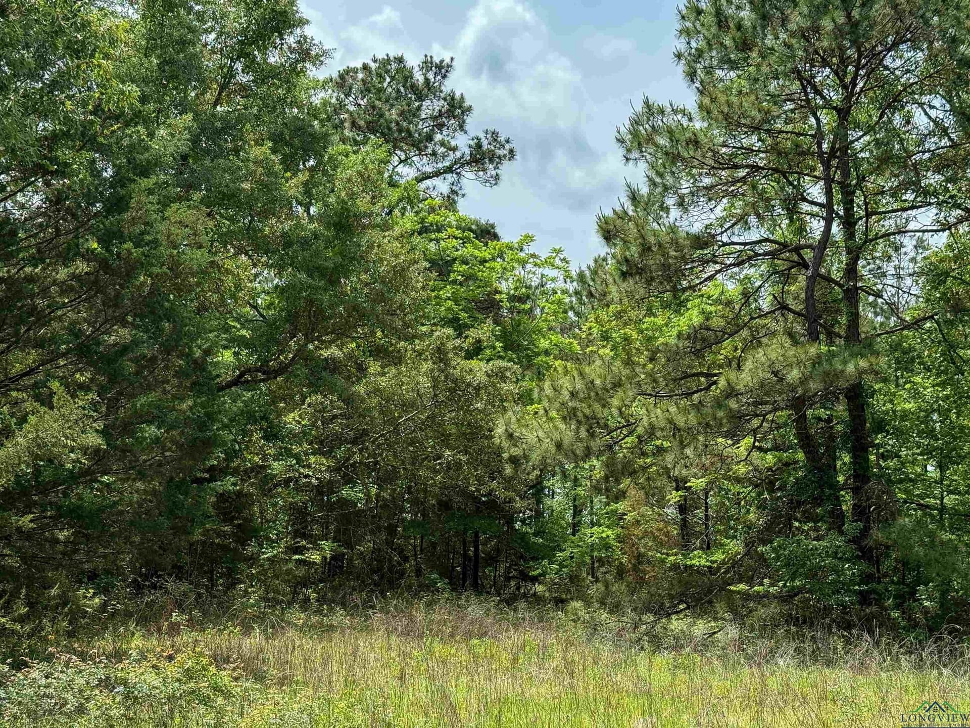 16.71 acres in Cass County - photo 36