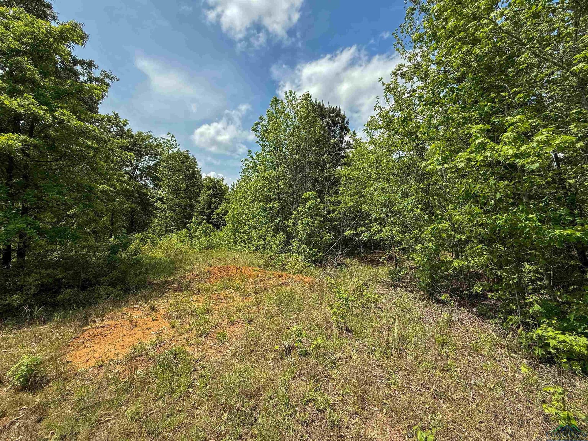 16.71 acres in Cass County - photo 39