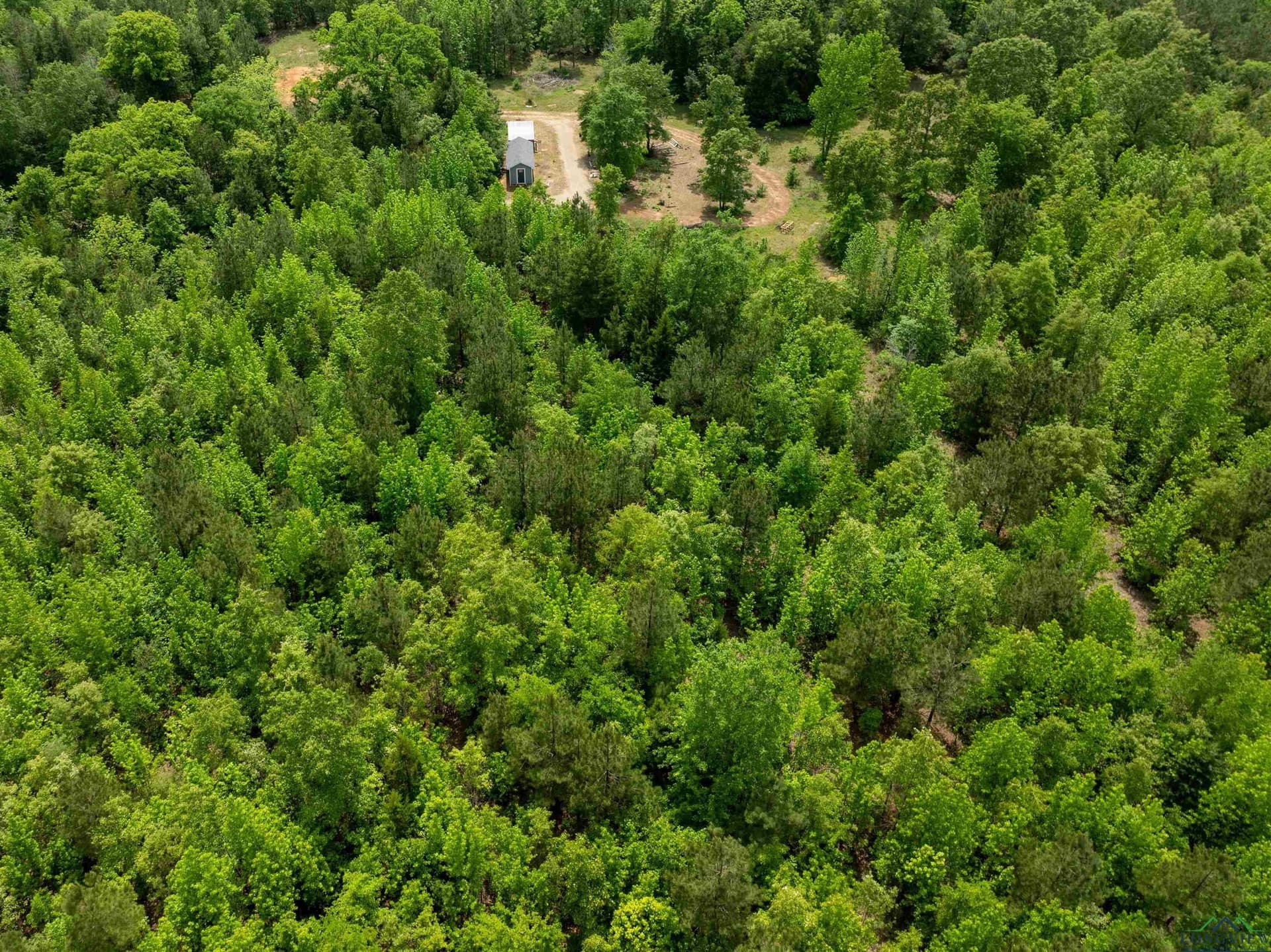 16.71 acres in Cass County - photo 12