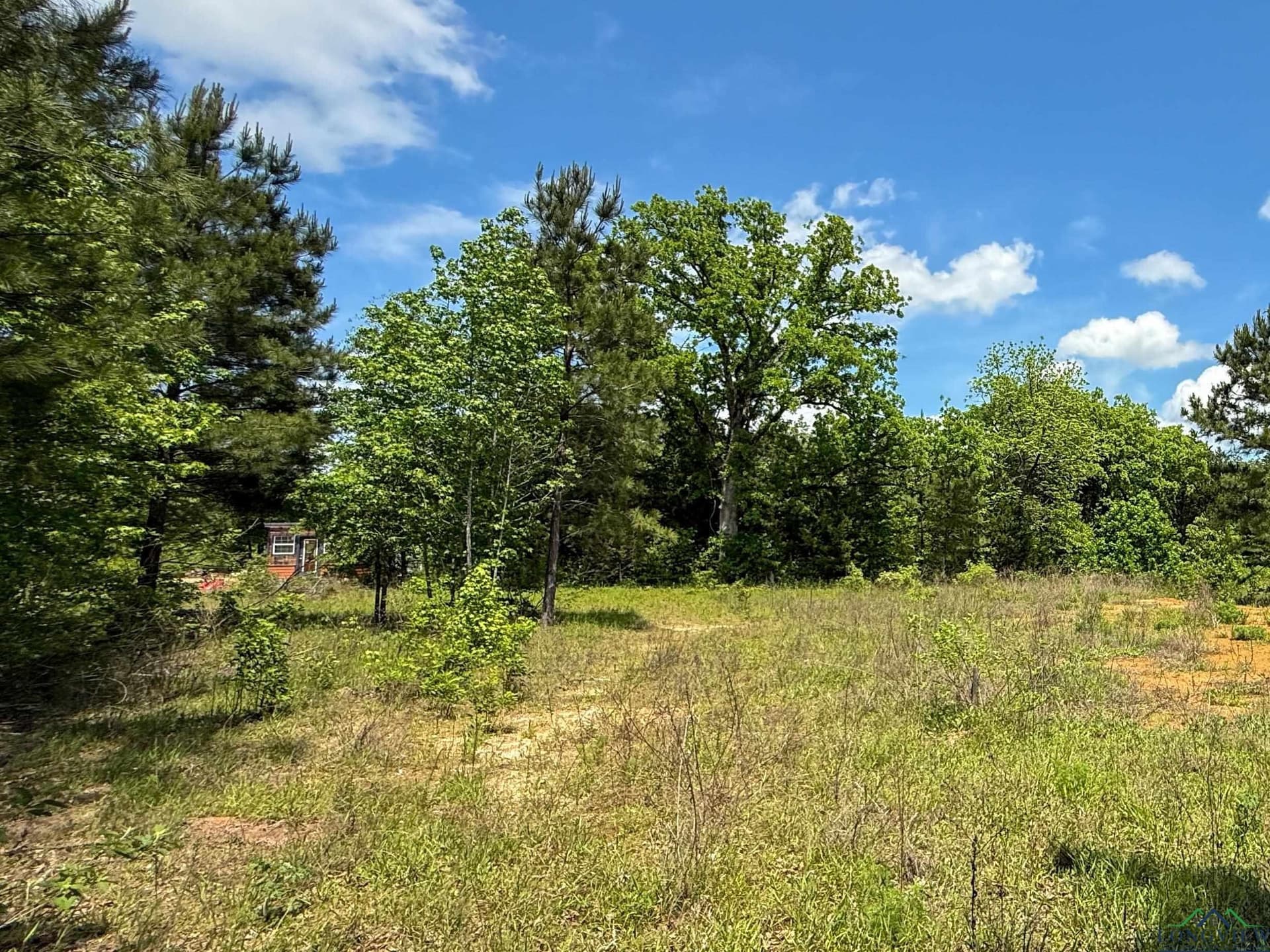 16.71 acres in Cass County - photo 32