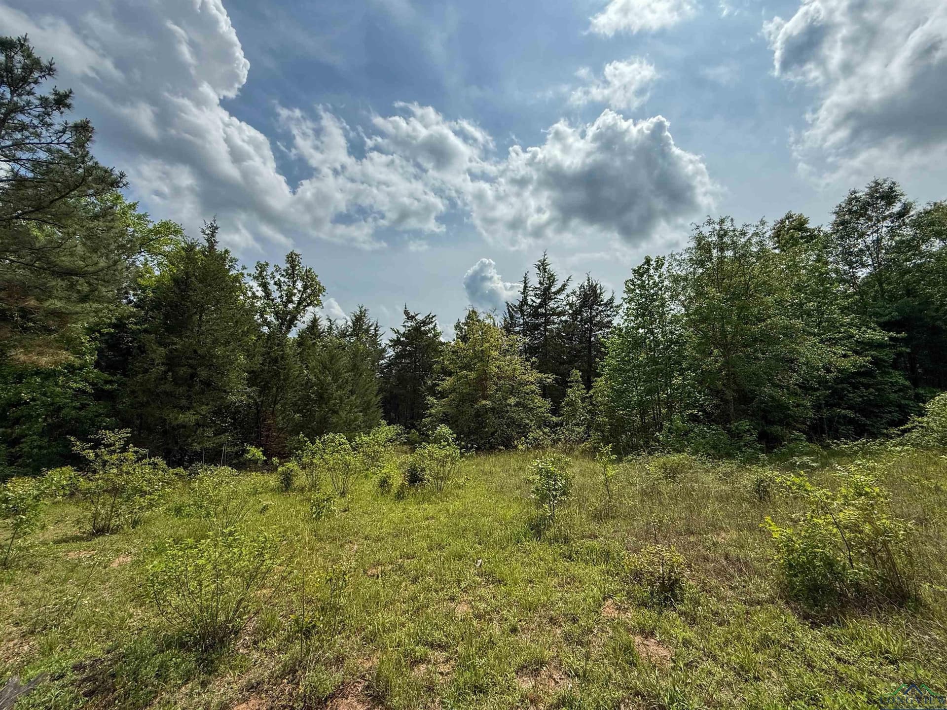 16.71 acres in Cass County - photo 43