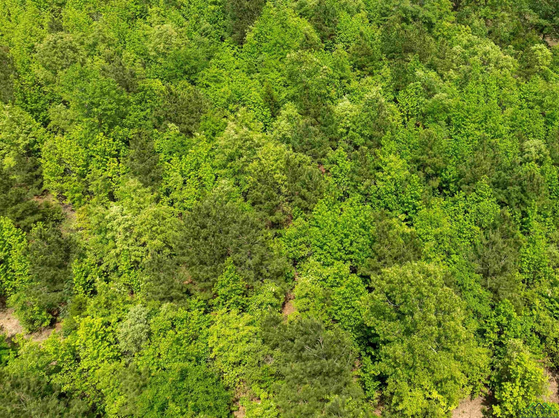 16.71 acres in Cass County - photo 10