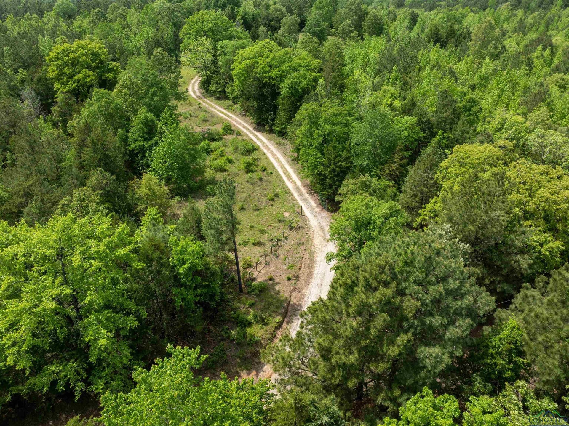 16.71 acres in Cass County - photo 6