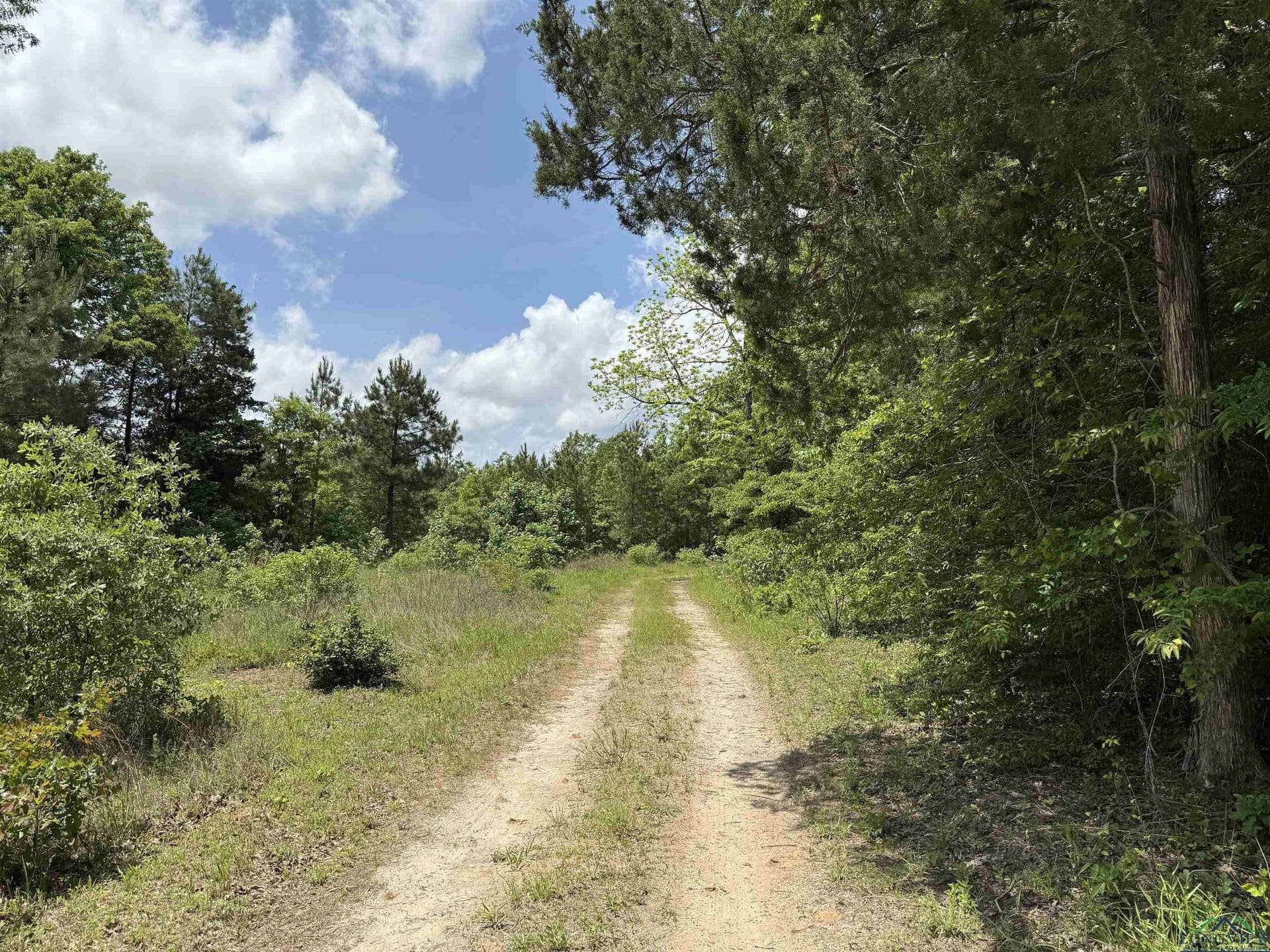 16.71 acres in Cass County - photo 50