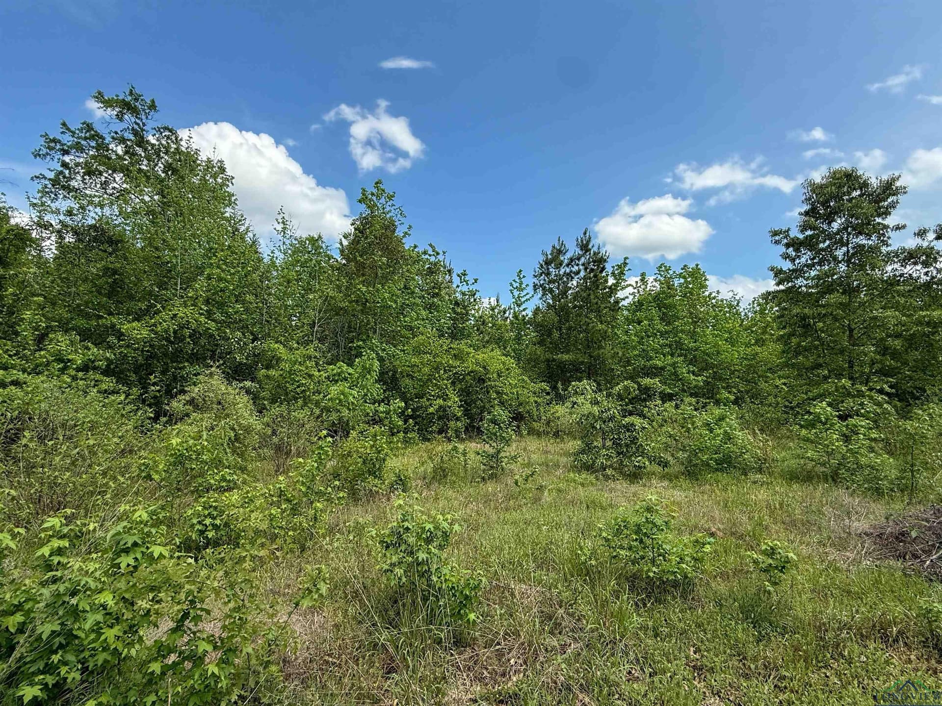 16.71 acres in Cass County - photo 42