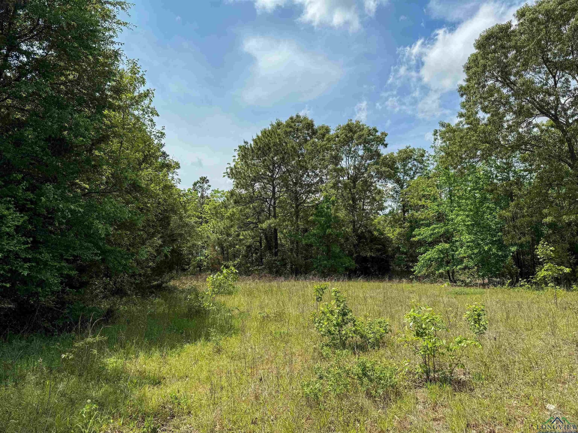 16.71 acres in Cass County - photo 35