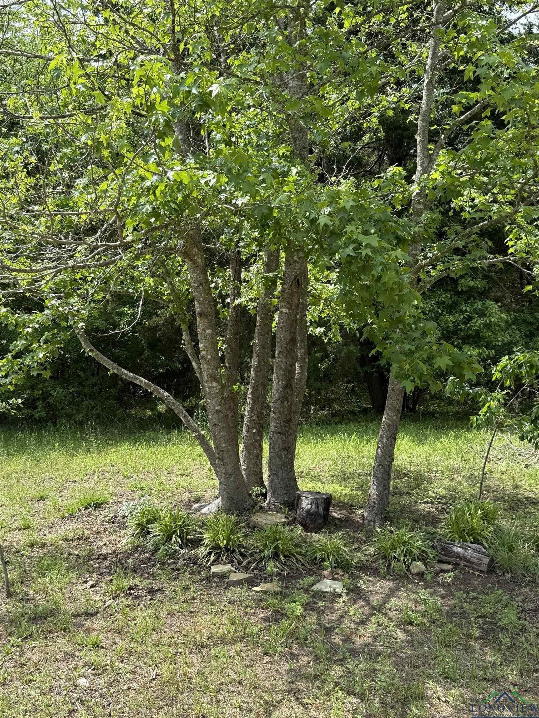 16.71 acres in Cass County - photo 37