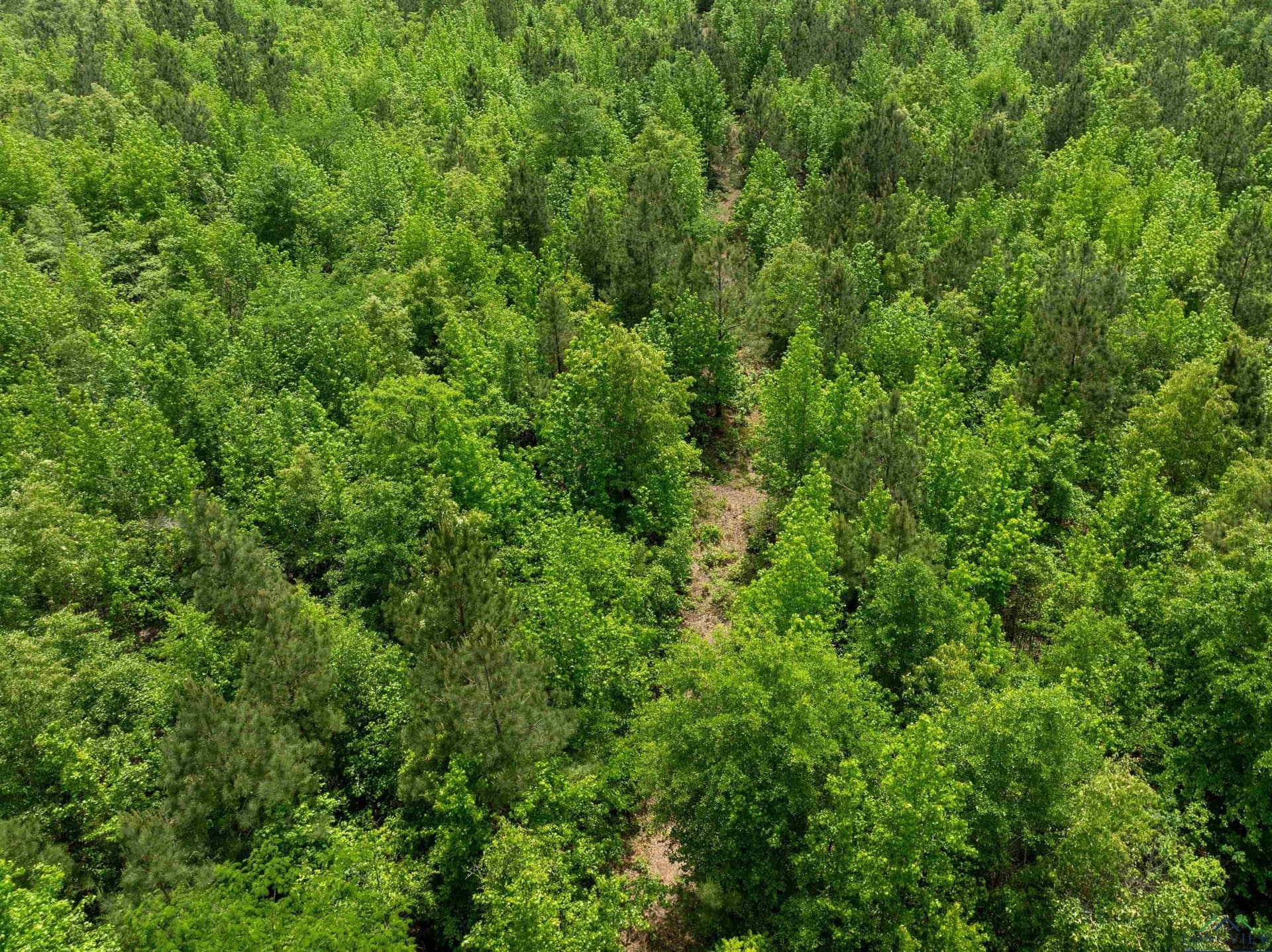 16.71 acres in Cass County - photo 9