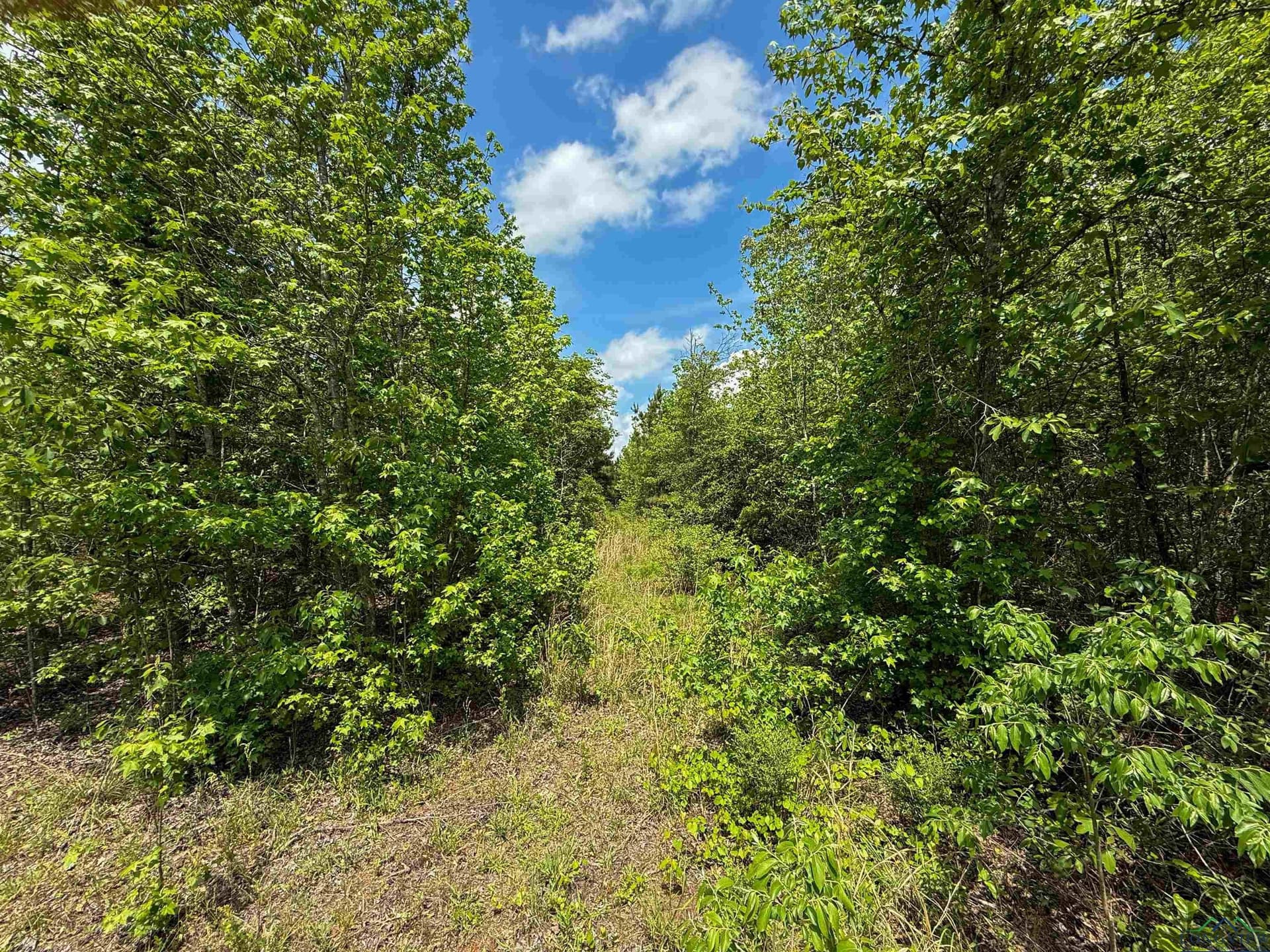 16.71 acres in Cass County - photo 38