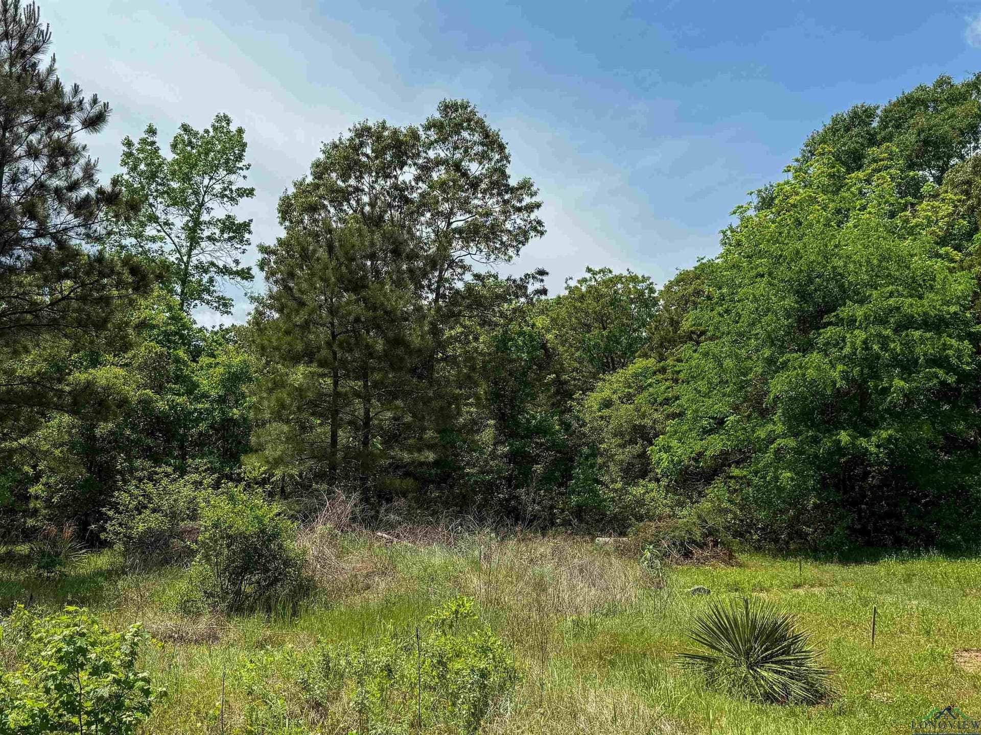 16.71 acres in Cass County - photo 34