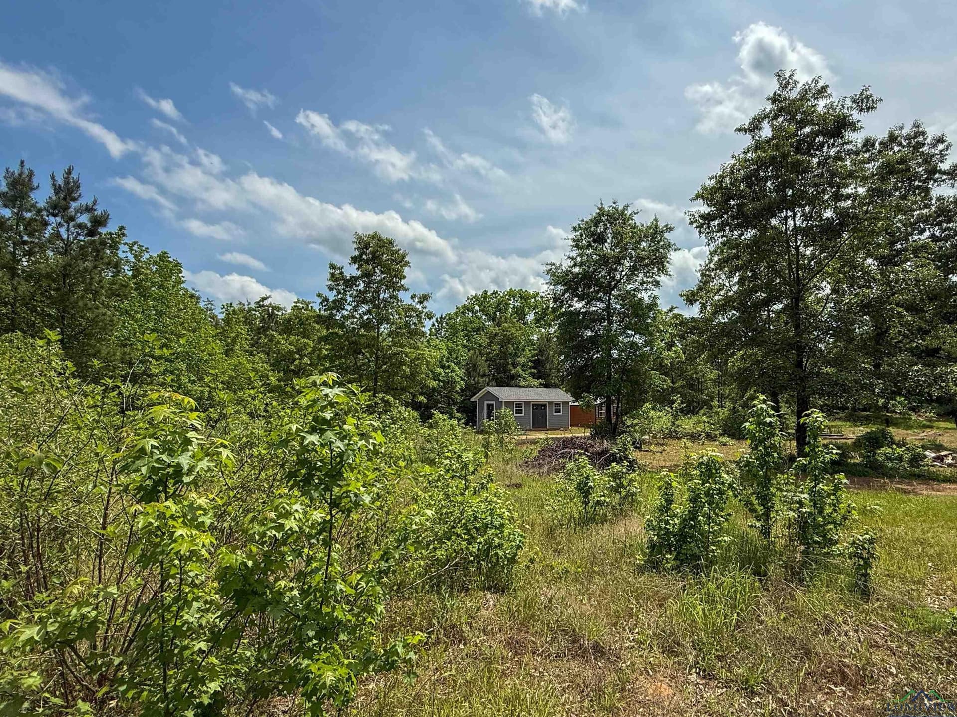16.71 acres in Cass County - photo 30