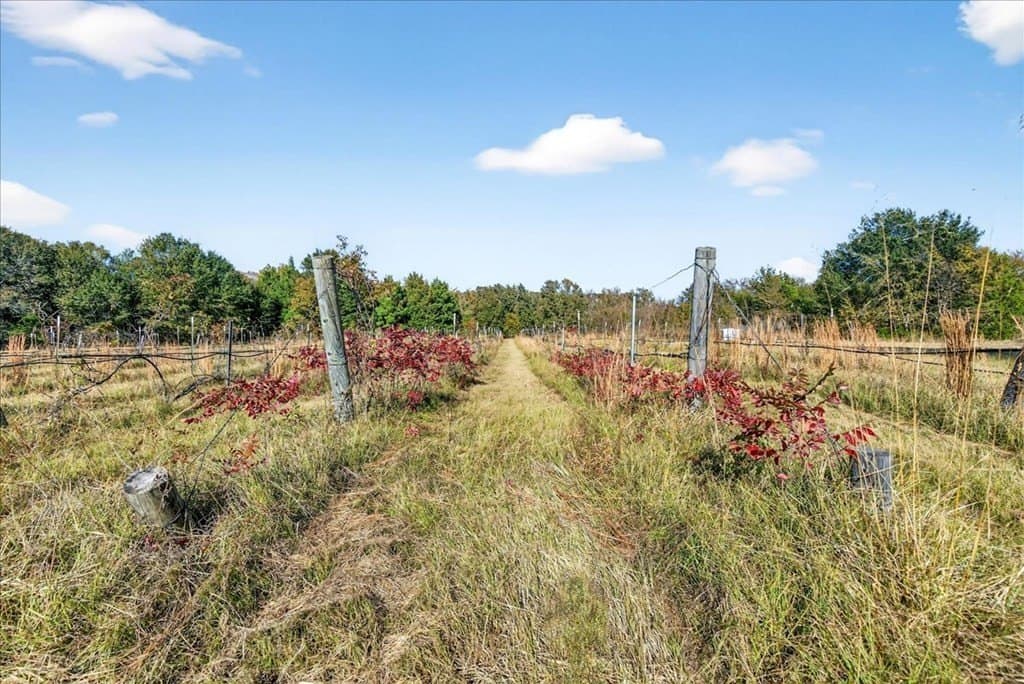 26 acres in Van Zandt County - photo 25