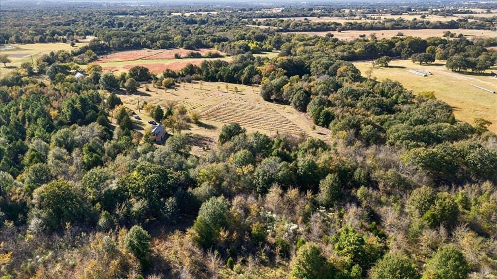 26 acres in Van Zandt County - photo 31