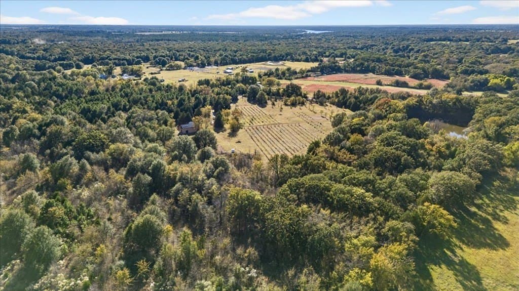 26 acres in Van Zandt County - photo 30
