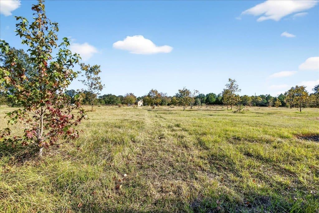 26 acres in Van Zandt County - photo 26