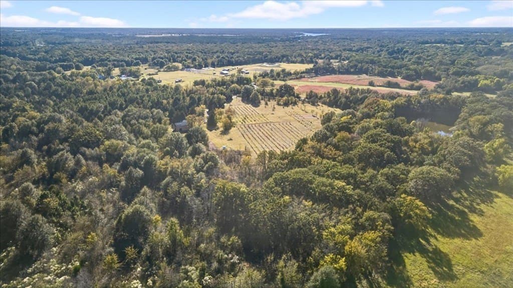 26 acres in Van Zandt County - photo 29