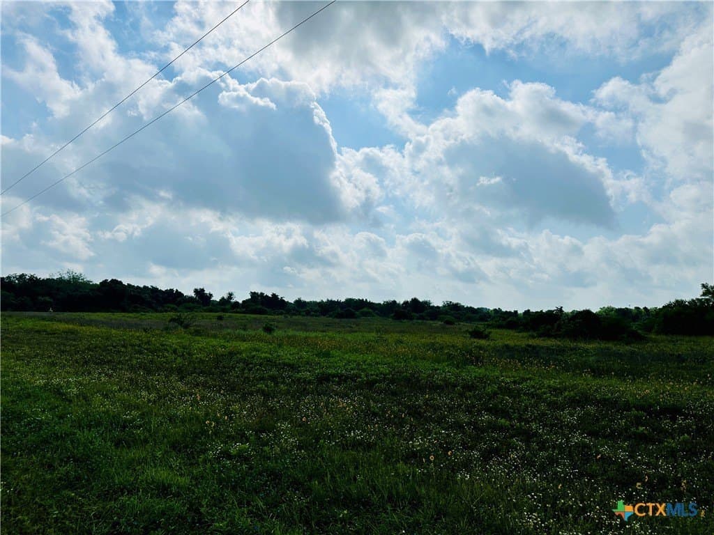 21.07 acres in Victoria County - photo 5