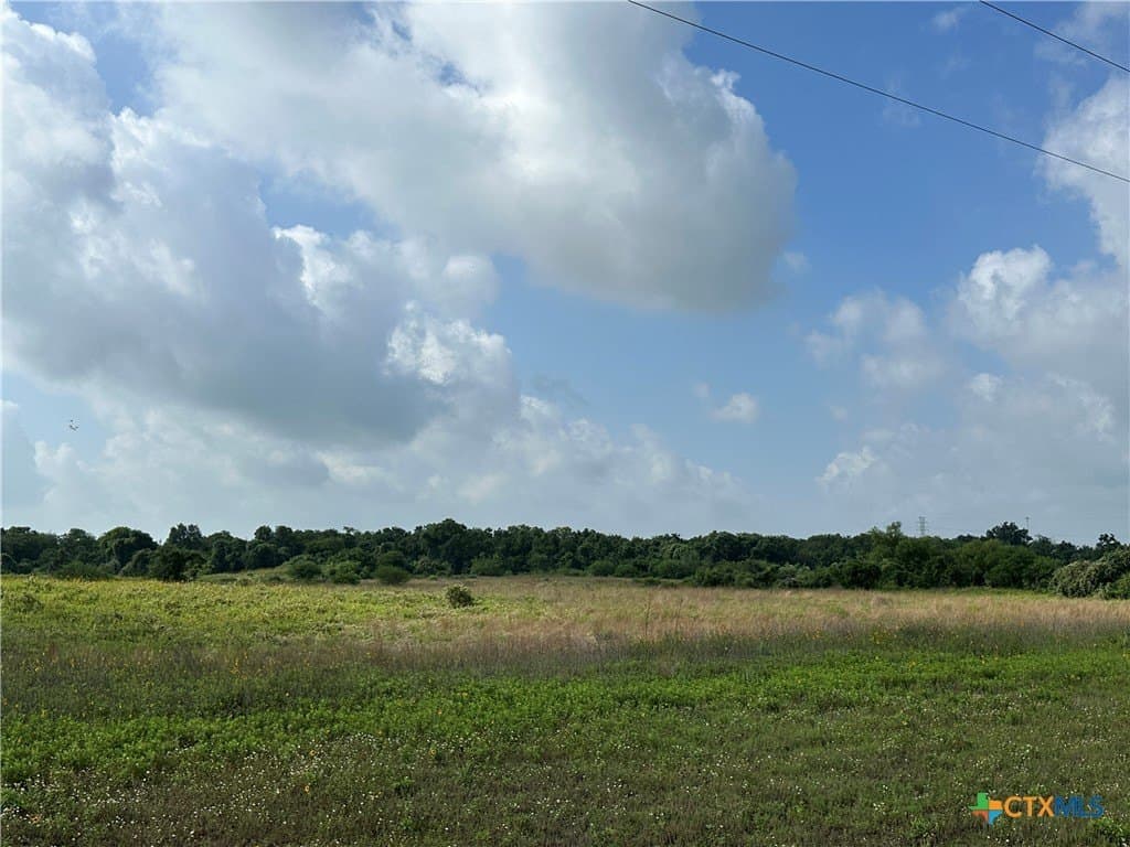 21.07 acres in Victoria County - photo 2