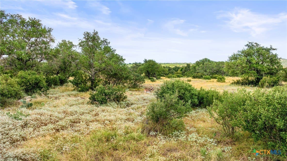5.01 acres in Blanco County - photo 17
