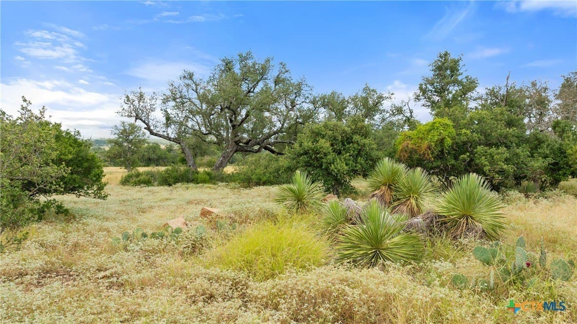 5.01 acres in Blanco County - photo 23