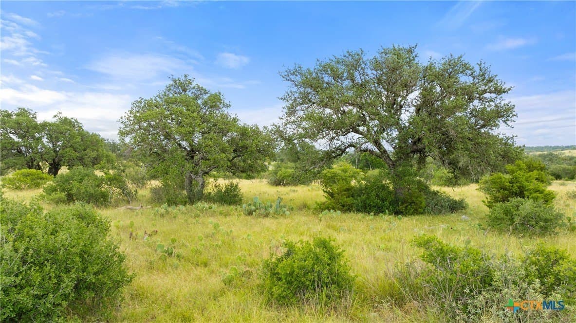 5.01 acres in Blanco County - photo 8