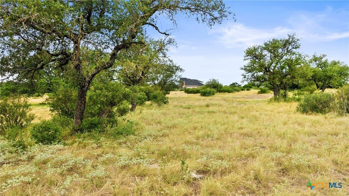 5.01 acres in Blanco County - photo 5