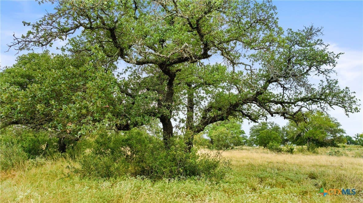 5.01 acres in Blanco County - photo 4