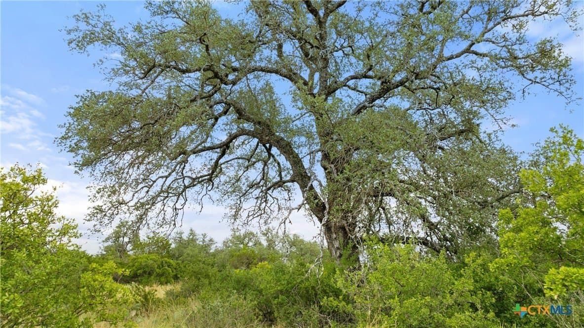 5.01 acres in Blanco County - photo 29