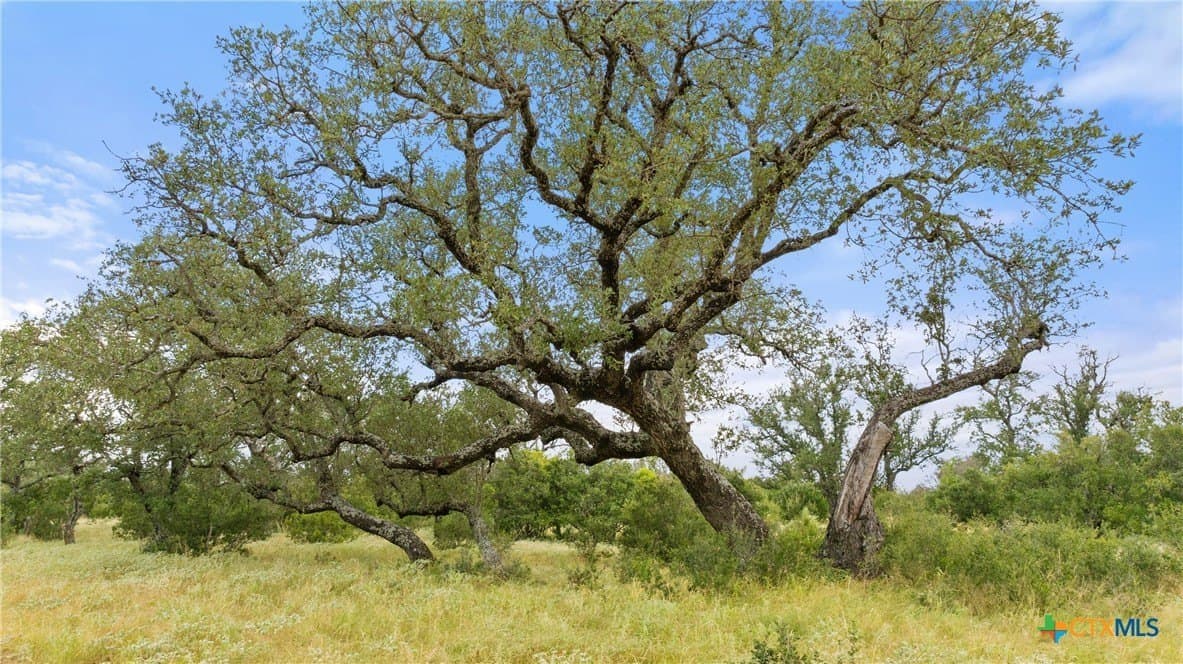 5.01 acres in Blanco County - photo 7