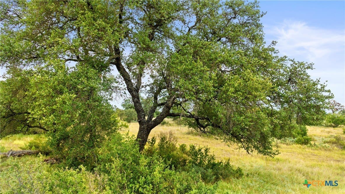 5.01 acres in Blanco County - photo 3
