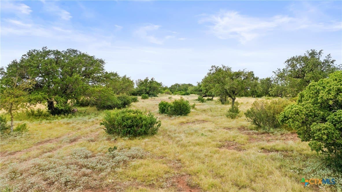 5.01 acres in Blanco County - photo 21