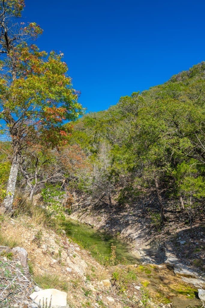 230 acres in Real County - photo 37
