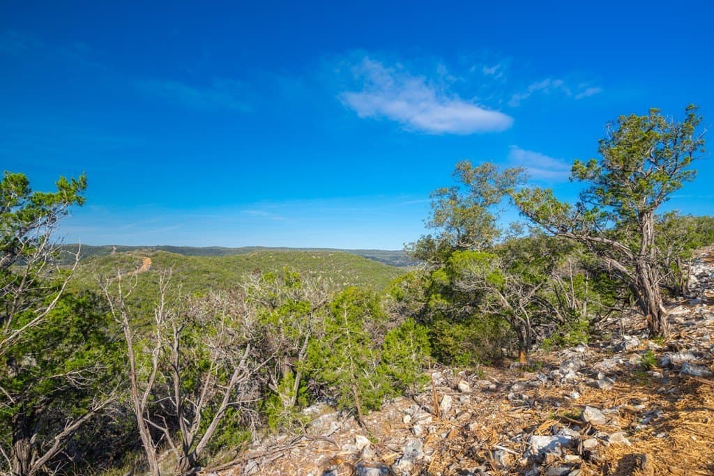 230 acres in Real County - photo 23