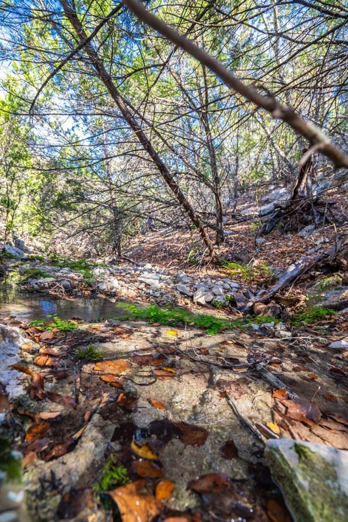230 acres in Real County - photo 36