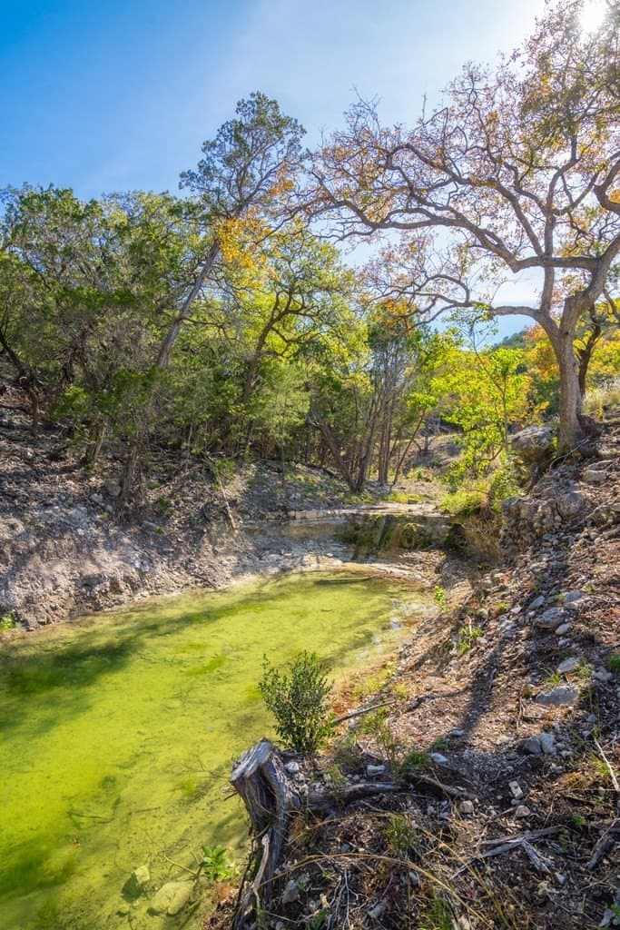 230 acres in Real County - photo 5