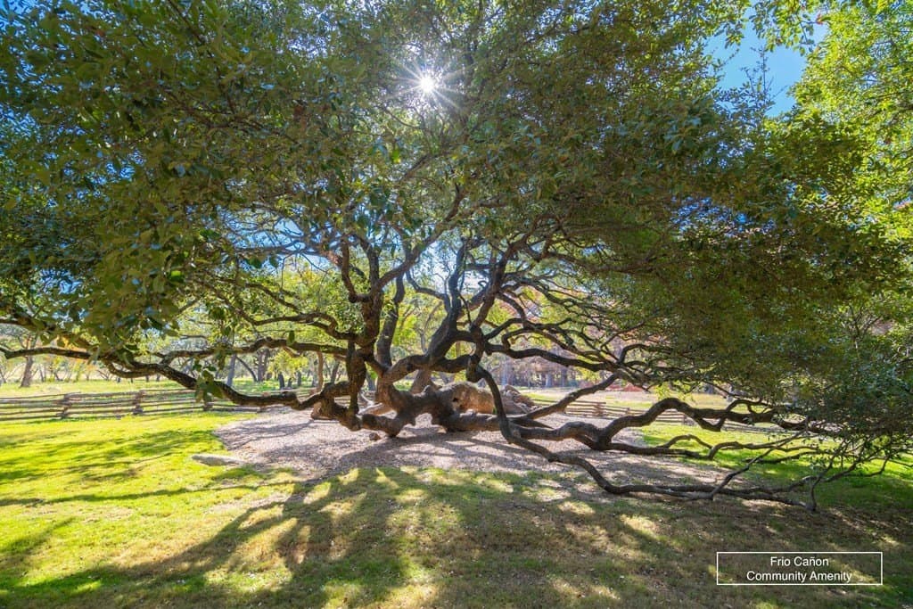 230 acres in Real County - photo 29