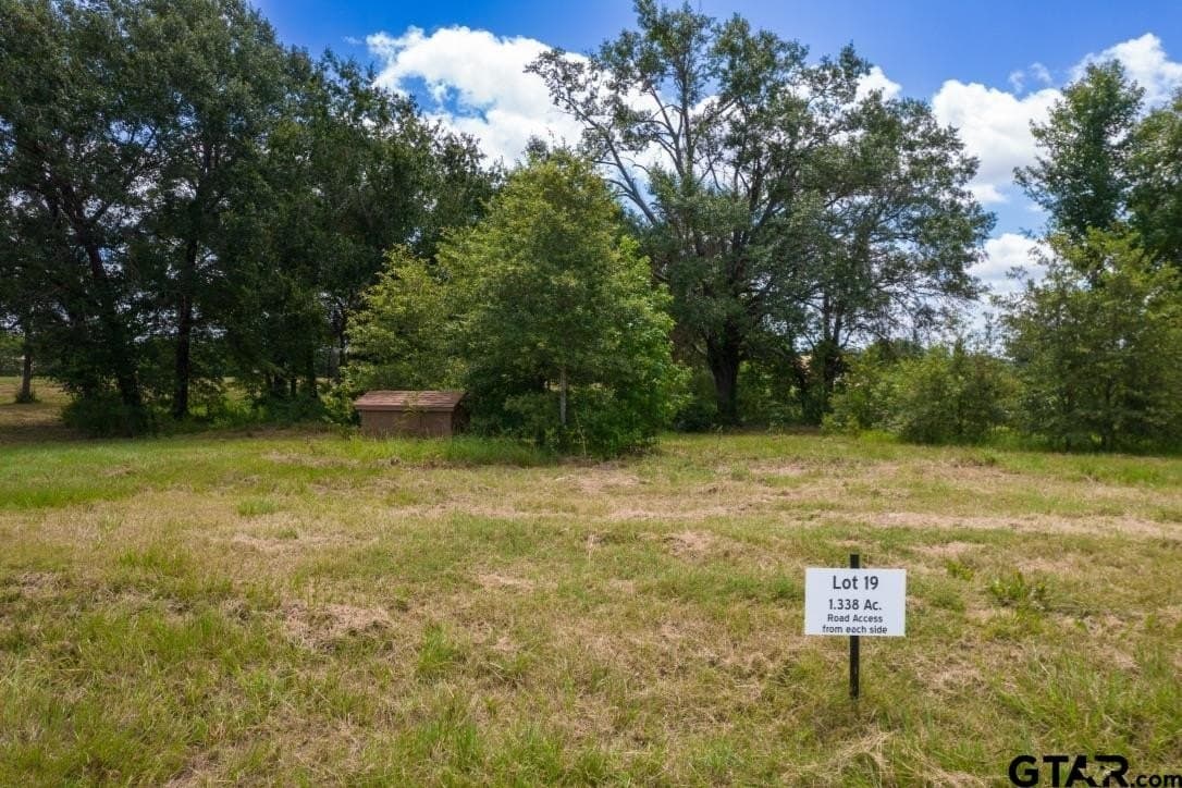 2.8 acres in Titus County - photo 4