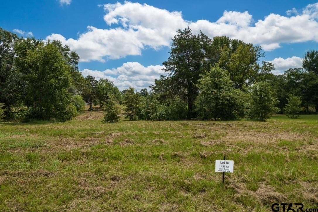 2.8 acres in Titus County - photo 5