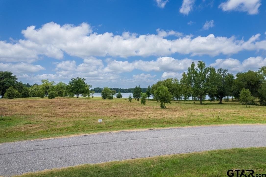 2.8 acres in Titus County - photo 8