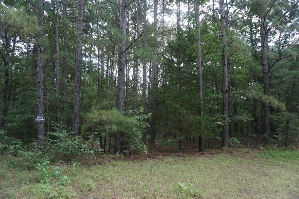 26 acres in ANDERSON County - photo 2