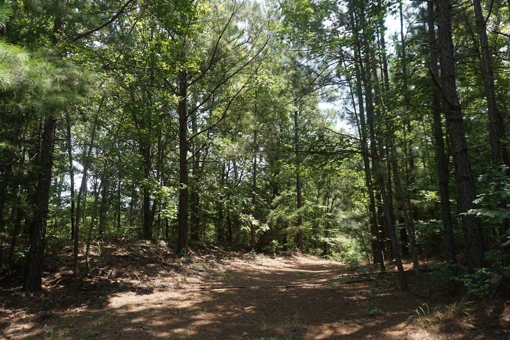 26 acres in ANDERSON County - photo 5