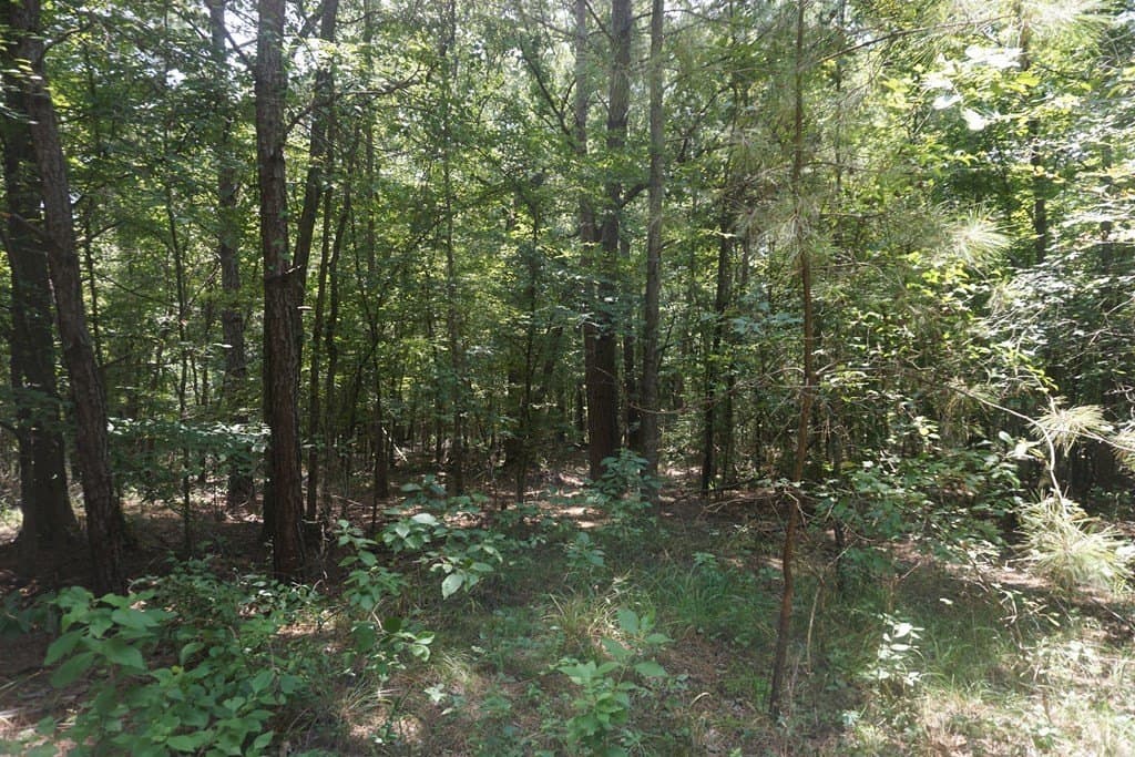 26 acres in ANDERSON County - photo 6