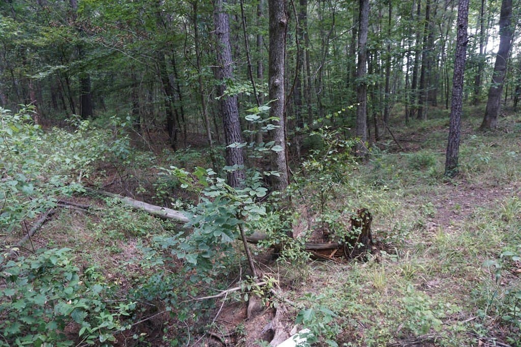 26 acres in ANDERSON County - photo 3