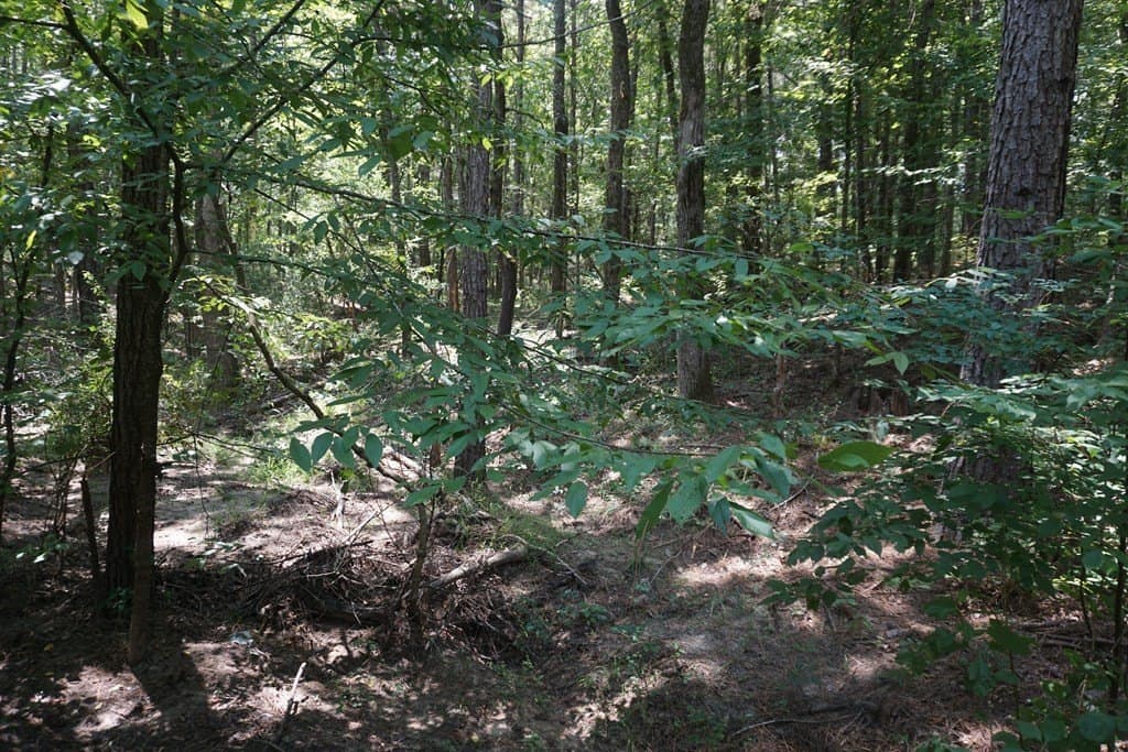 26 acres in ANDERSON County - photo 9