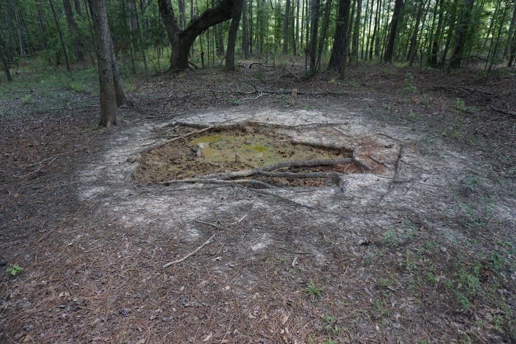 26 acres in ANDERSON County - photo 4