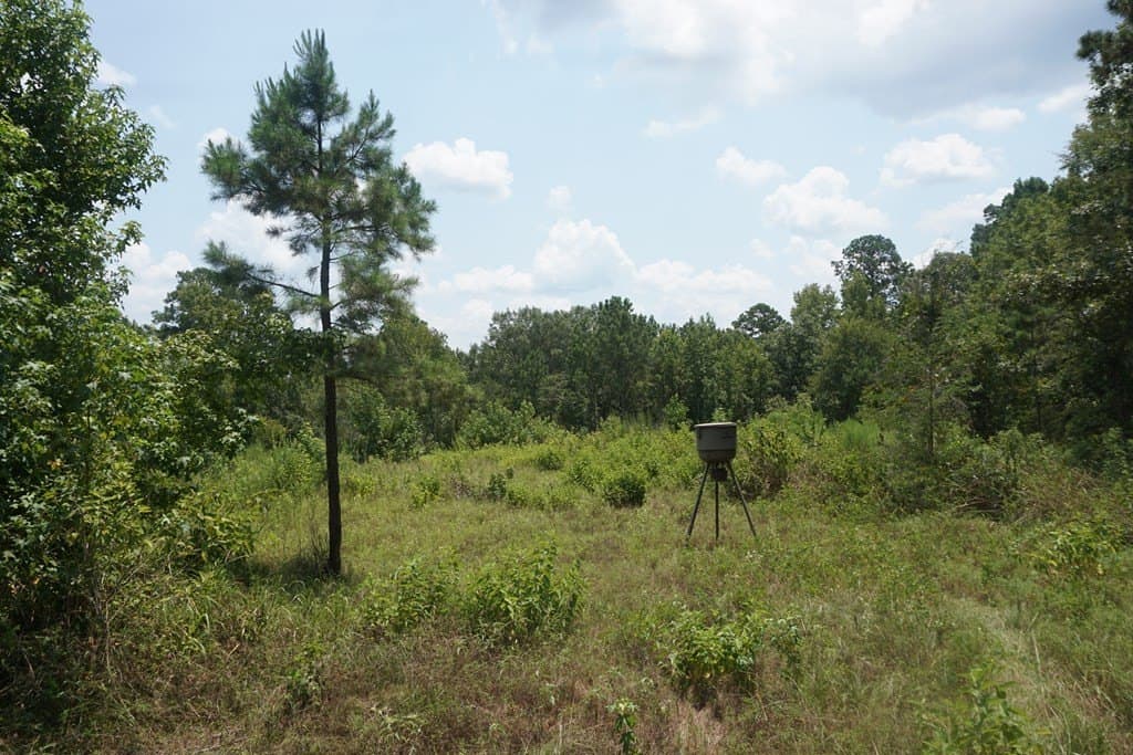 26 acres in ANDERSON County - photo 8