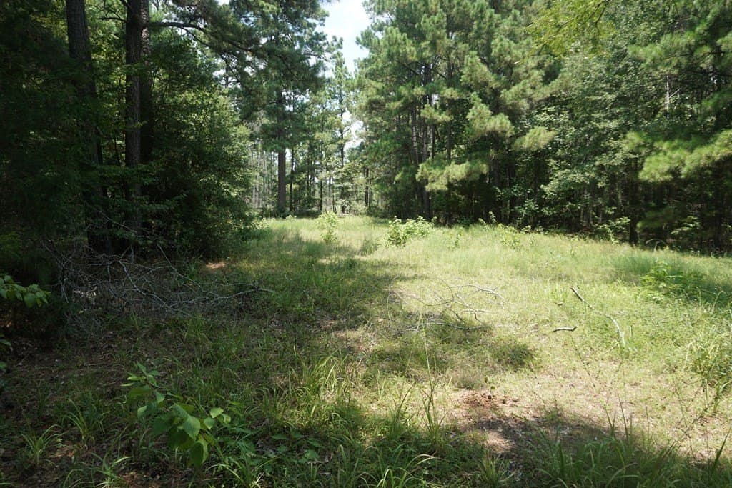 26 acres in ANDERSON County - photo 14