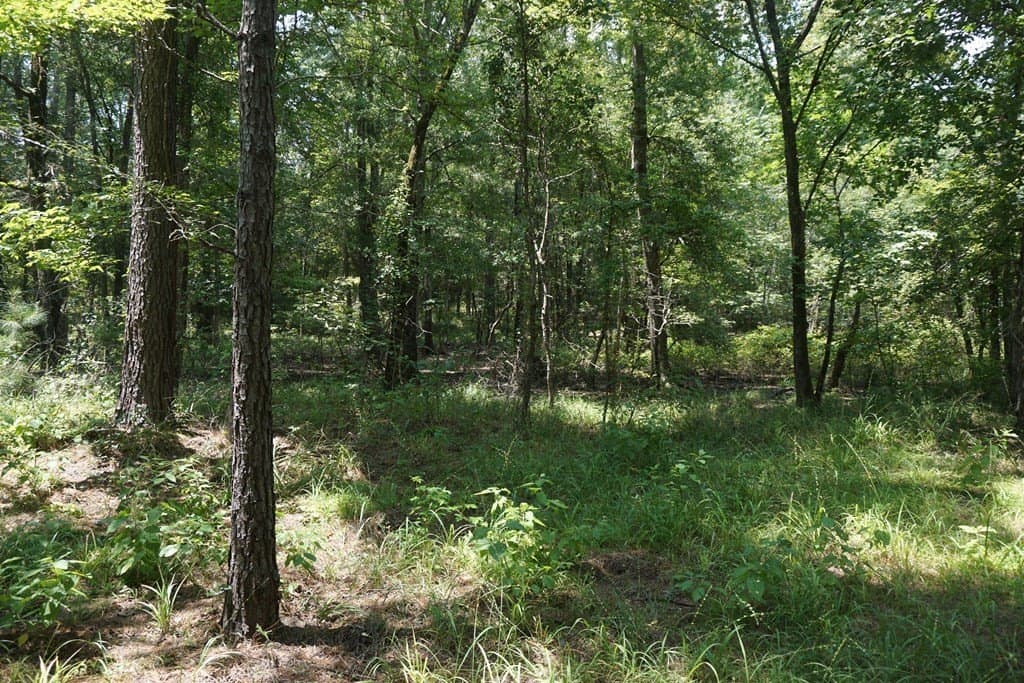 26 acres in ANDERSON County - photo 12