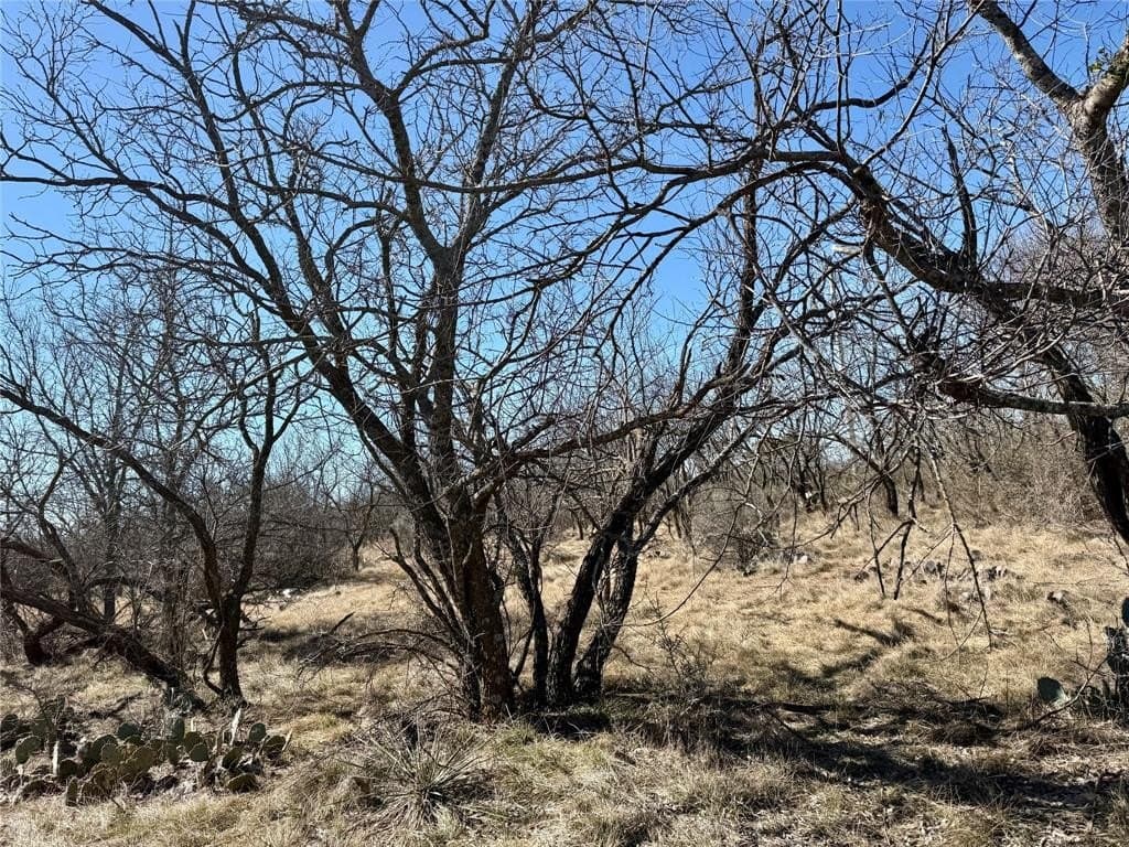 118.08 acres in Taylor County - photo 35