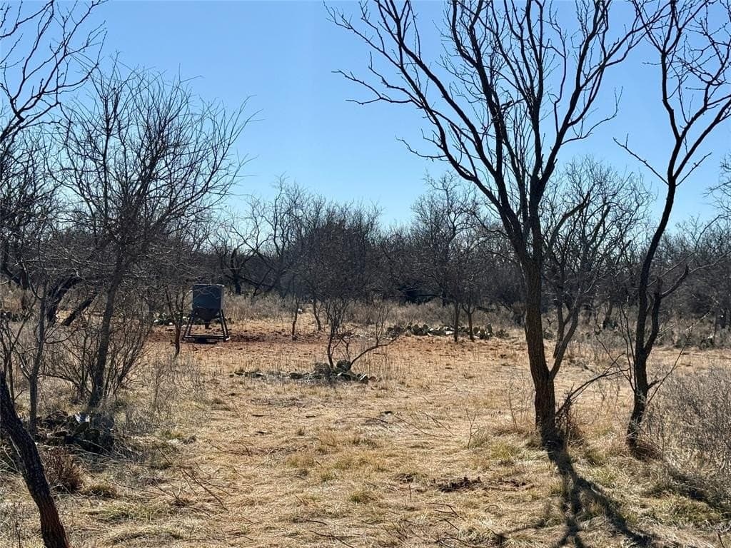 118.08 acres in Taylor County - photo 34